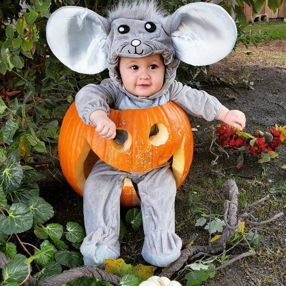 Meet your Posher, Shy - Picture 2 of 5